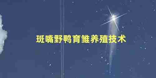 斑嘴野鸭育雏养殖技术(斑嘴野鸭育雏养殖技术与管理)